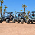 Buggy Palmeral