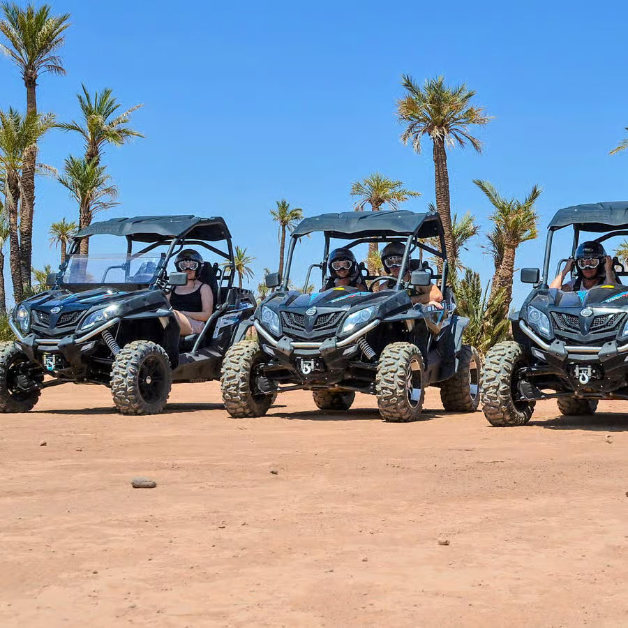 Buggy Palmeral