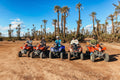 🏍️🌴 Ruta de 2 horas de Quads por el palmeral + pausa de té: (Actividad de medio día) Precio total 28€ por persona 🔒Reserva tu plaza con una señal de 10€ y paga el resto el día de la excursión
