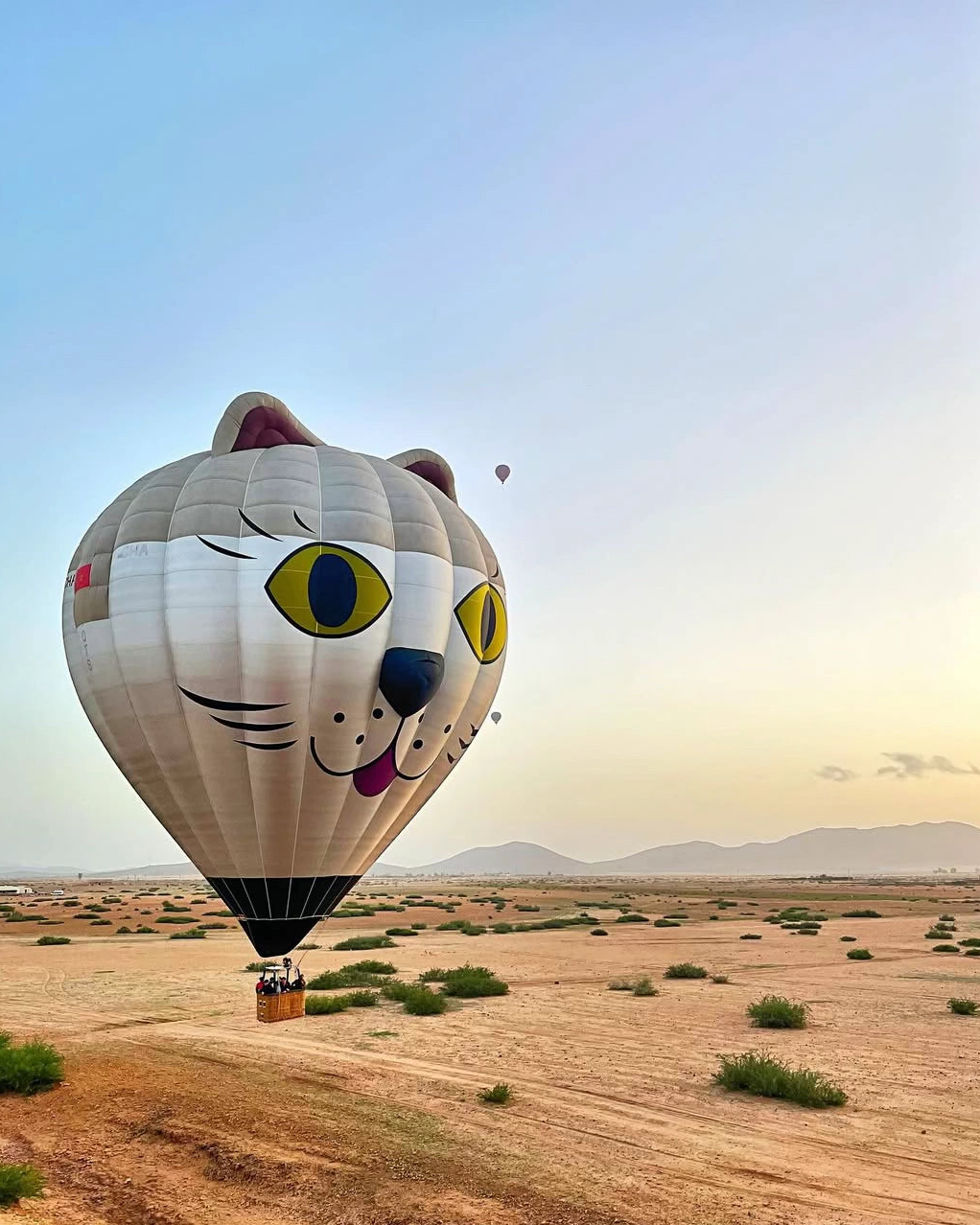 🎈 Paseo en Globo Aerostático – Marrakech desde el cielo: (Actividad de medio día) Precio 99€ 🔒Reserva tu plaza con una señal de 19€ y paga el resto el día de la excursión