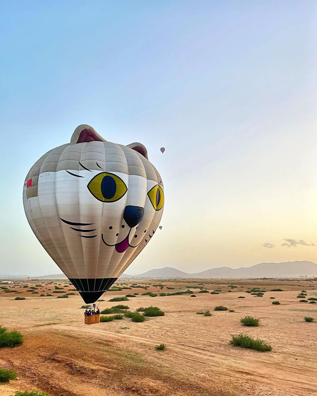 🎈🪂 PACK AVENTURA: GLOBO + PARAPENTE (2 DÍAS)Precio total: 152€ por persona 🔒Reserva tu plaza con una señal de 27€ y paga el resto el día del viaje